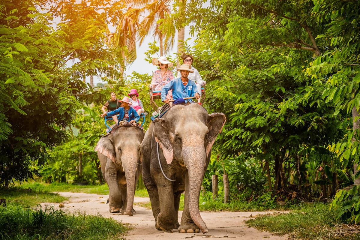 Pattaya Elephant Village